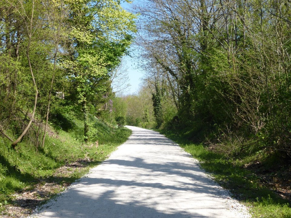 Bois de Brussey