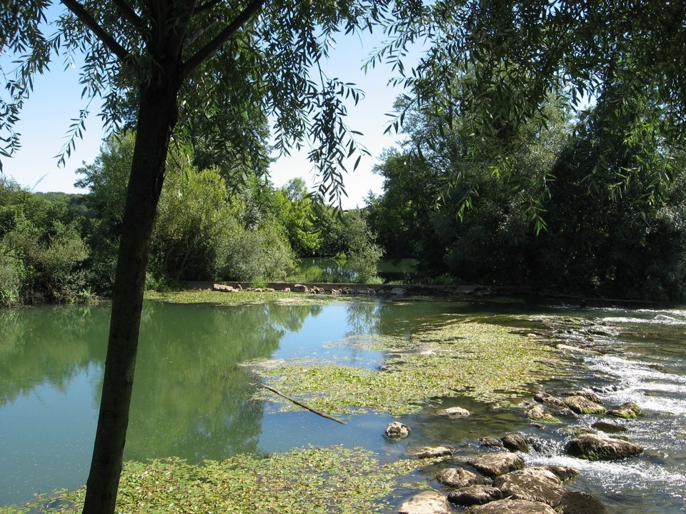 L'Ognon à Brussey