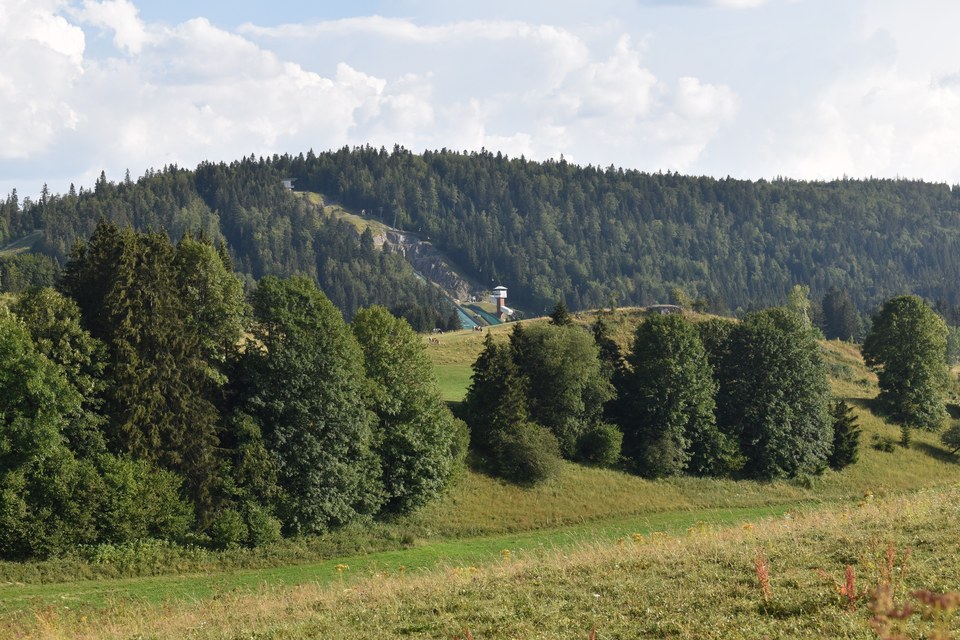Cébriot pédestre