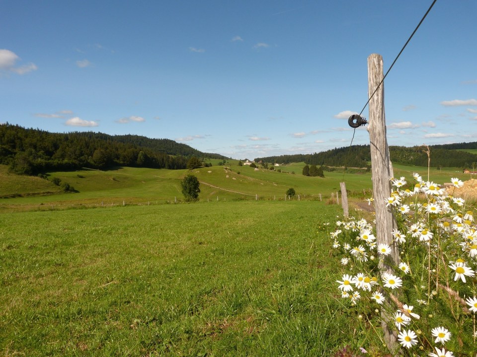 Paysage bucolique des Combes Derniers