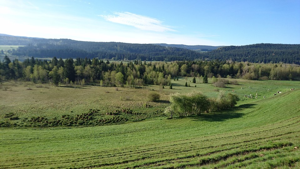 Paysage des Montagnes du Jura