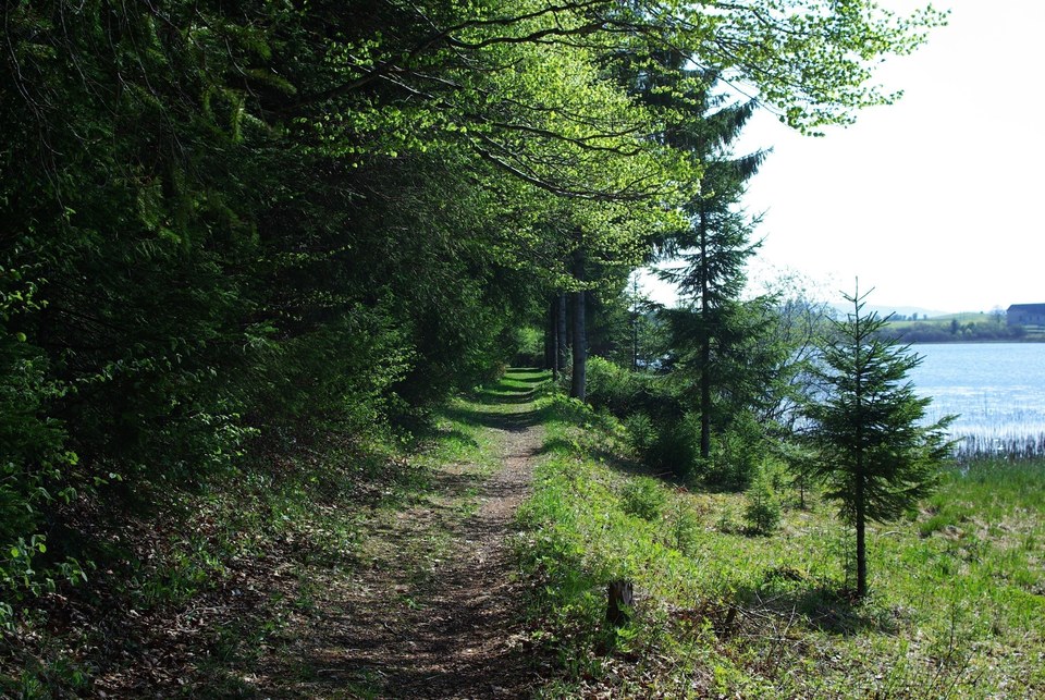 Lac de Malpas
