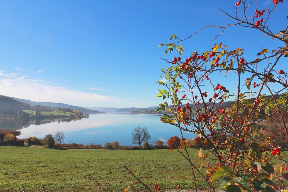 Lac de Saint-Point en automne