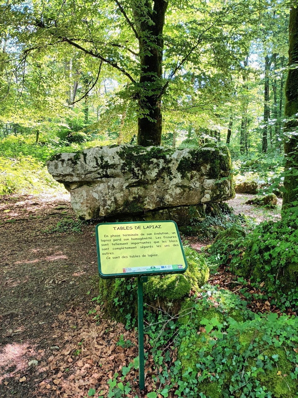 Table de Lapiaz