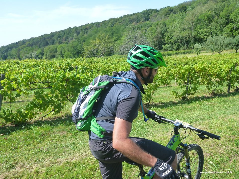 Le Mont Varin - n° 20