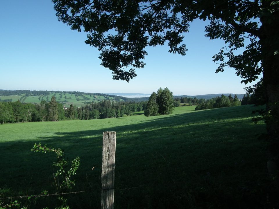 Chemin du Fer