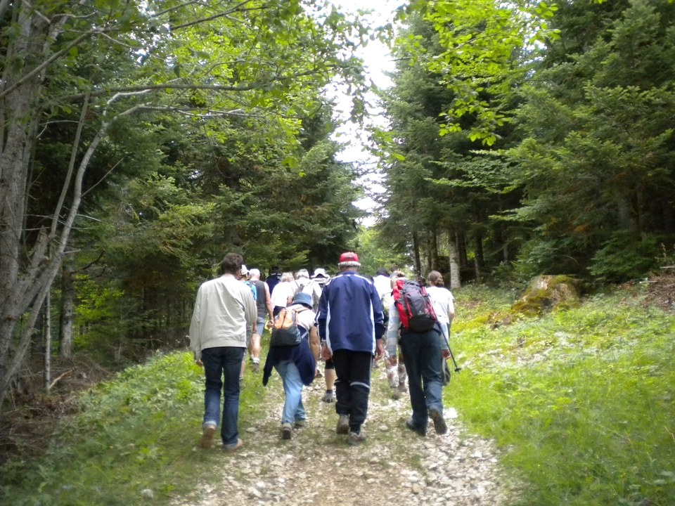 Sur le chemin des mines de fer