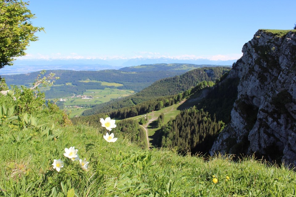 Mont d'Or et Alpes