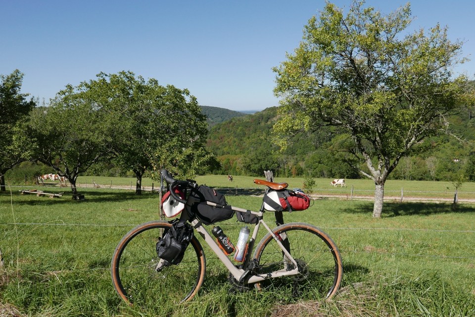 Prairies et Montbéliardes