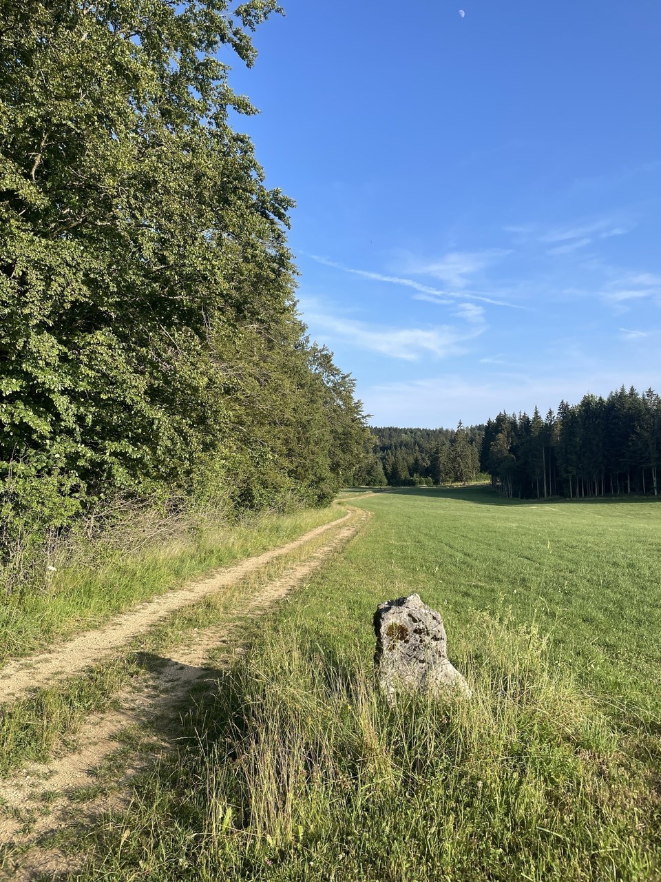 Chemin gravel dans les pâtures