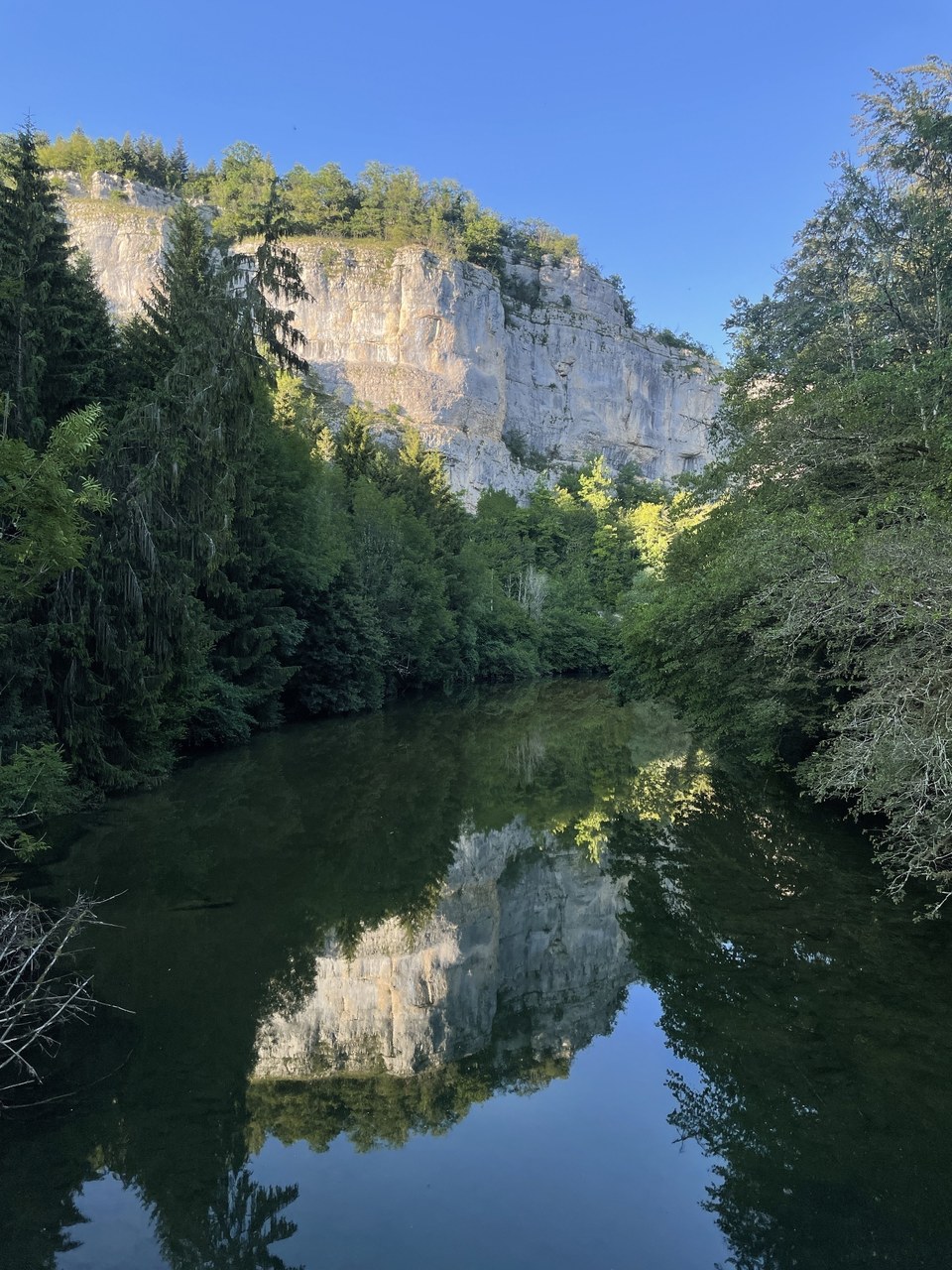 Le prince de Belleherbe
