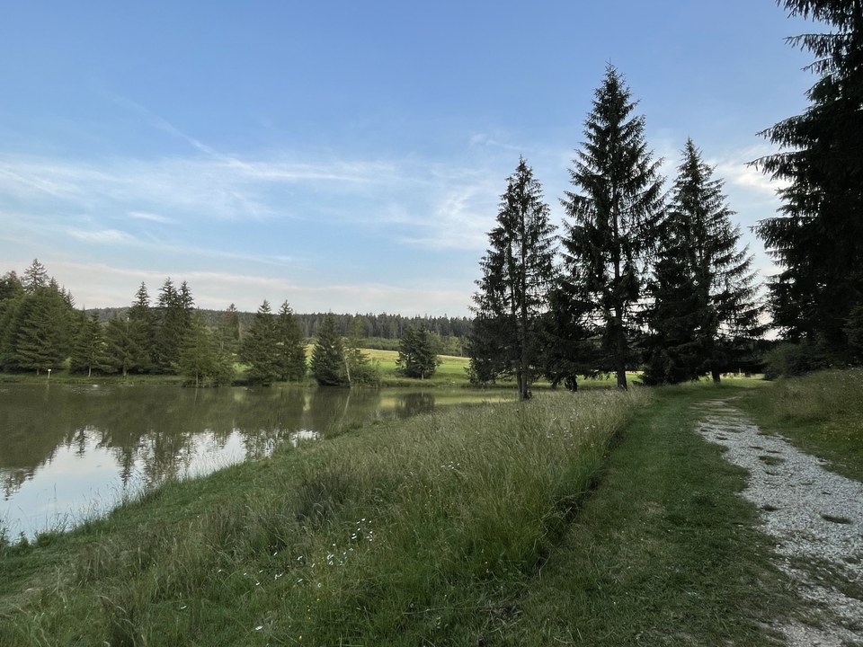 Allumer la Maîche
