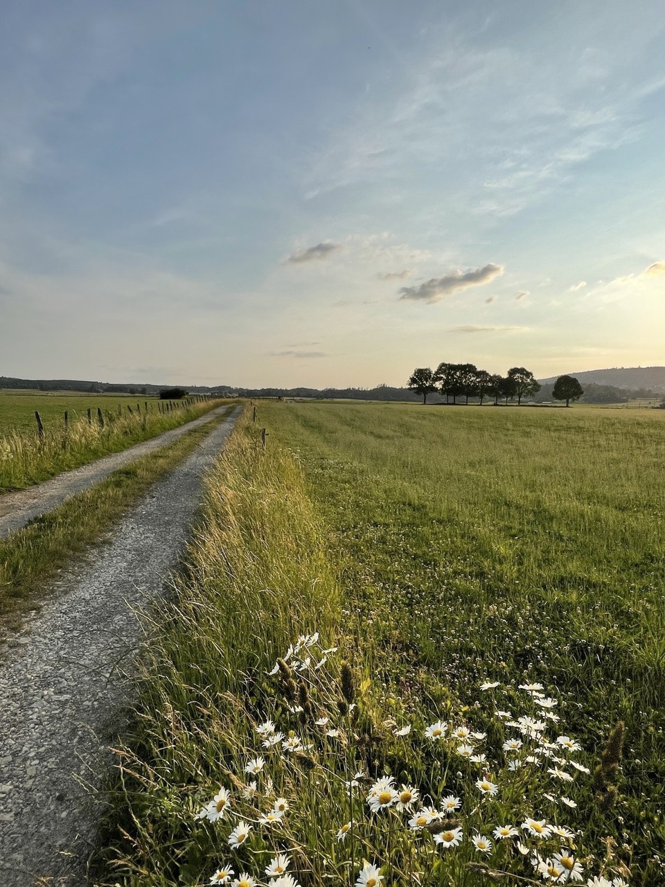 Plateau de Maîche au crépuscule
