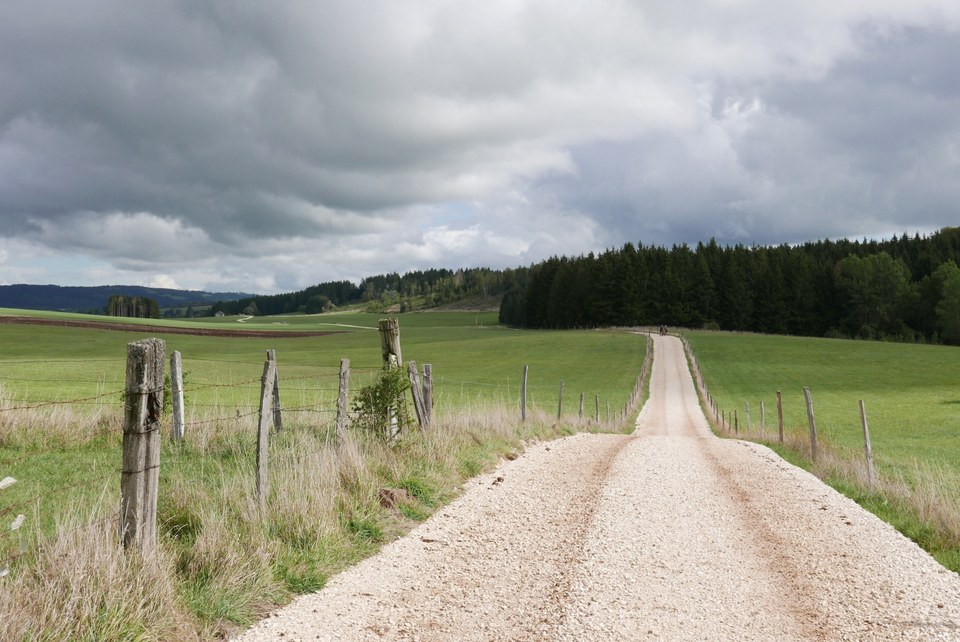 Chemin blanc
