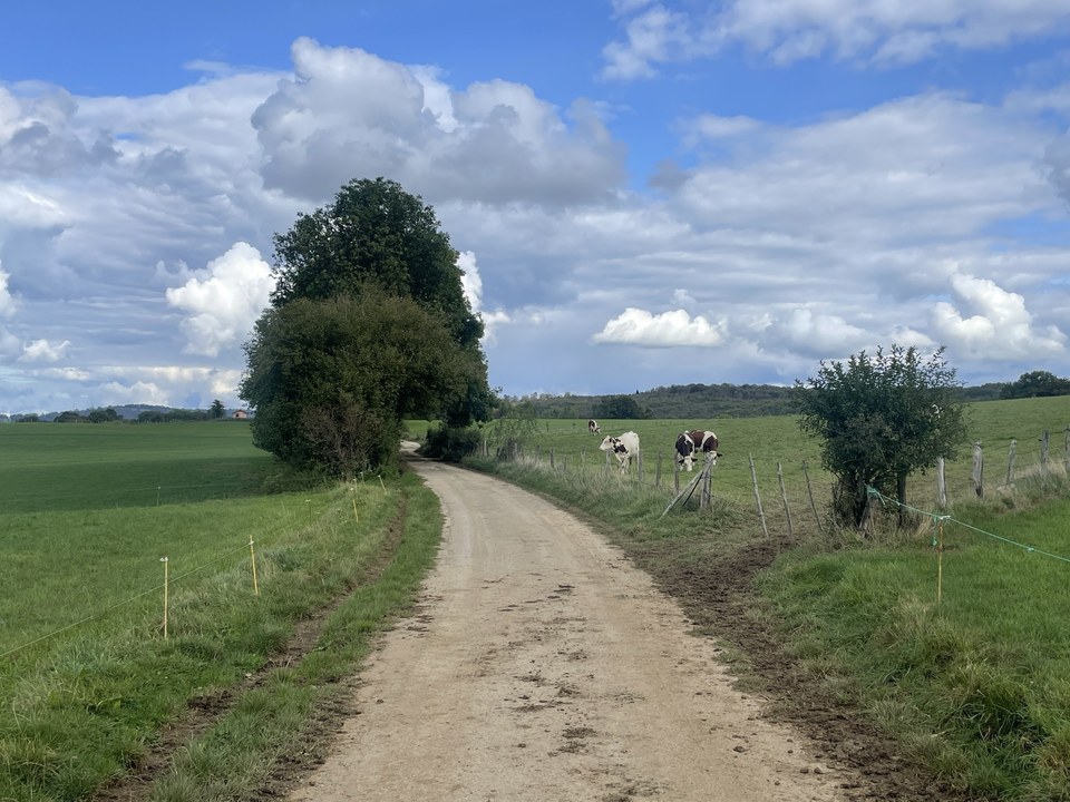 Chemin gravel sur le plateau