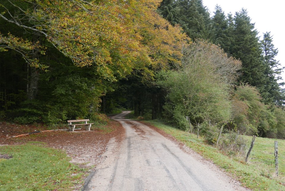 Gravel dans les bois