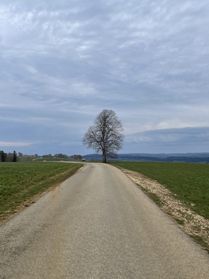 Gravel dans la campagne