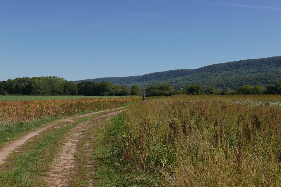 Chemin gravel dans la vallée de l'Ognon