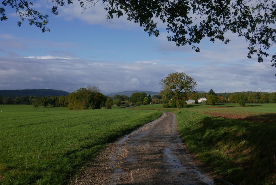 Collines du Doubs baumois