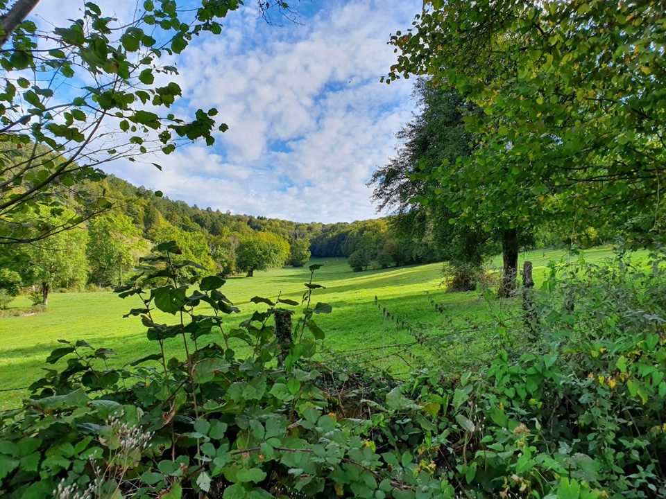 Sentier botanique de Rurey