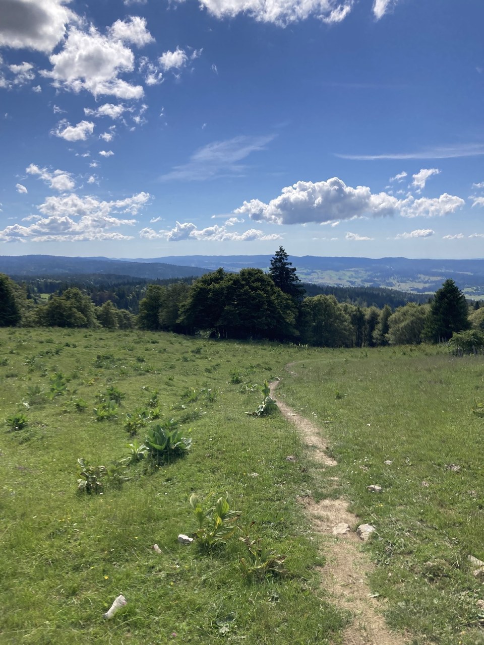 Sentier d'alpage sur le Mont d'Or
