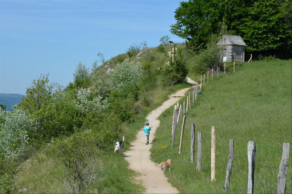 Sentier de la Roche de Hautepierre