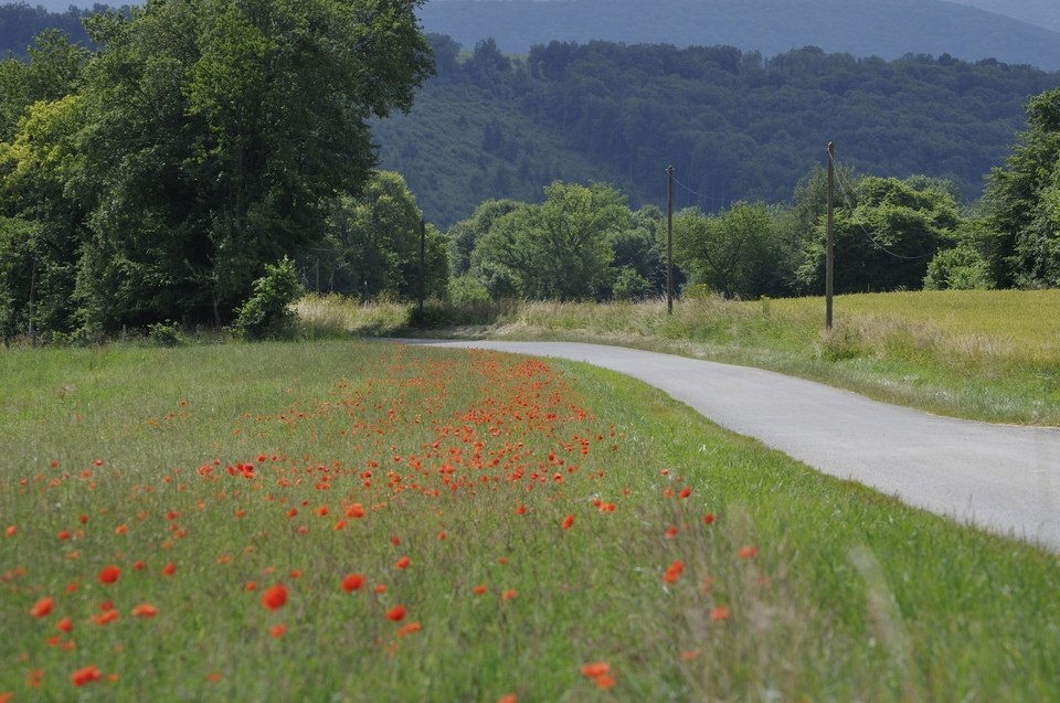 Chemin de la Guingette de Soye