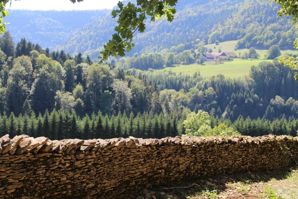 Les murs en pierres sèches, patrimoine jurassien