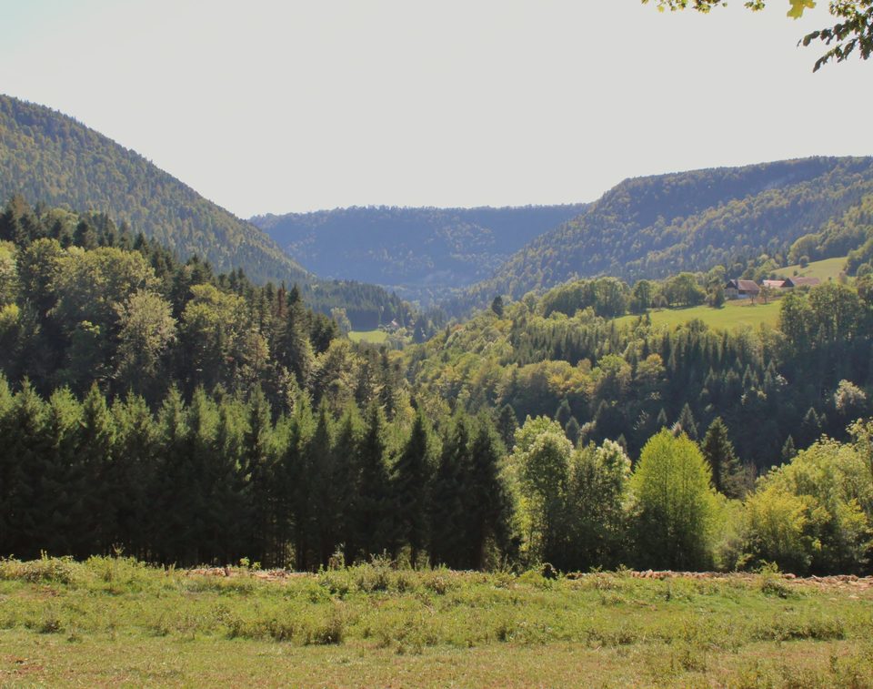 La vallée du Dessoubre depuis le sentiers des murs