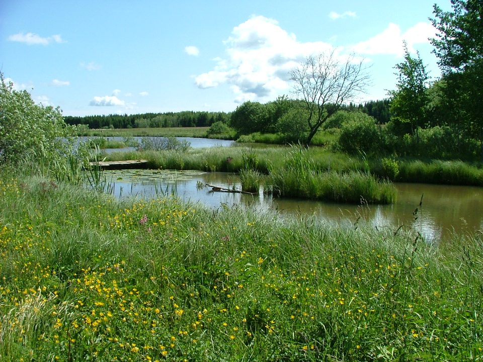 Le Creux du Moulin, Le Russey