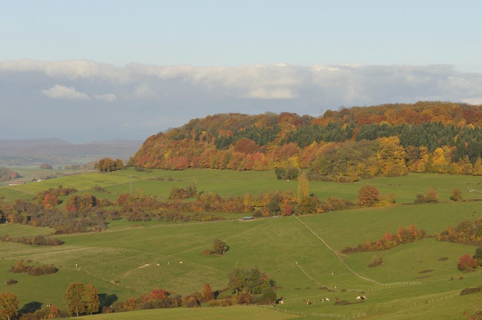 Point de vue de la Motte
