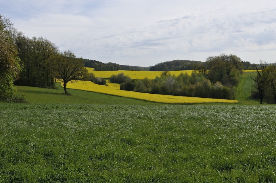 Village d'Étrappe