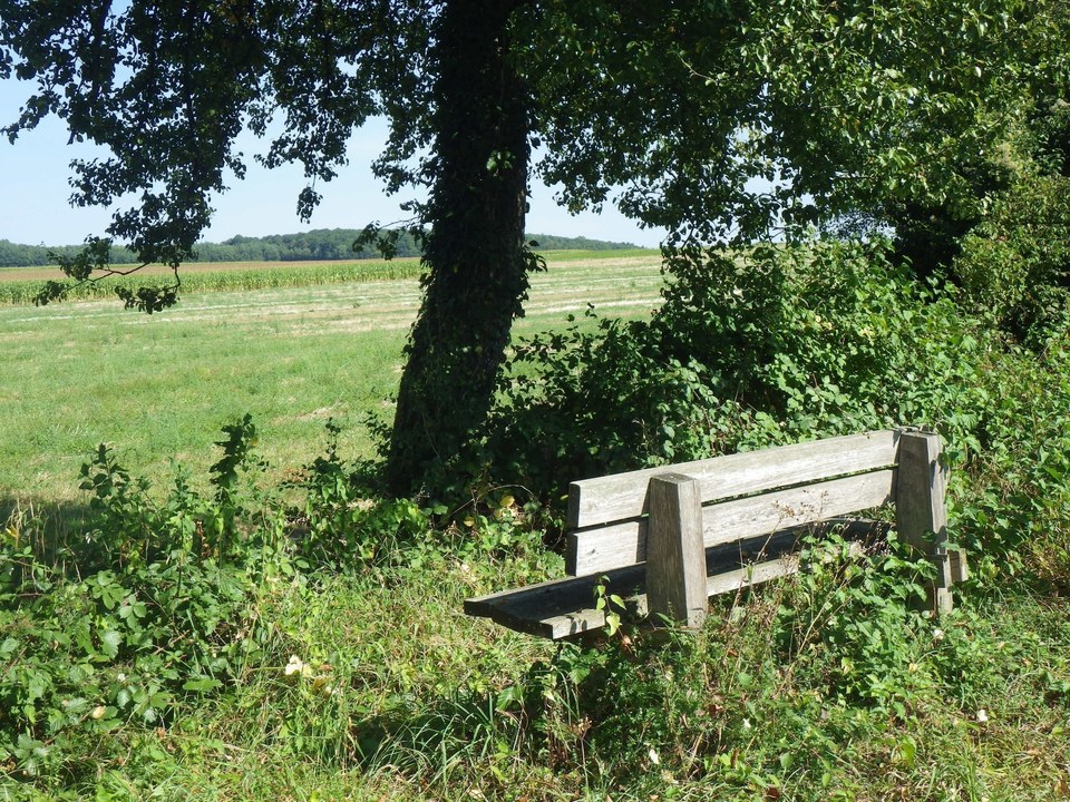 Chemin Vert