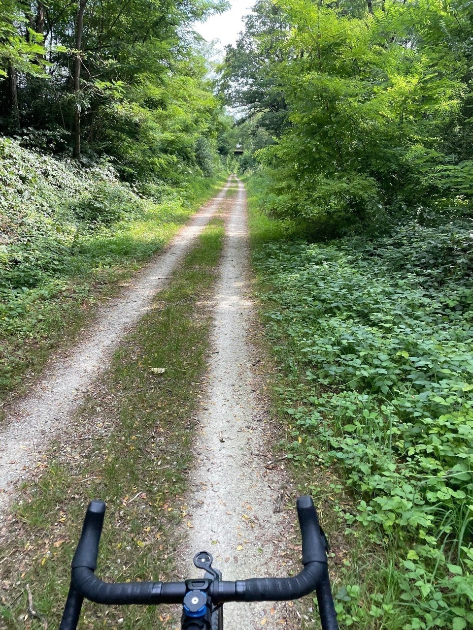 Chemin vert