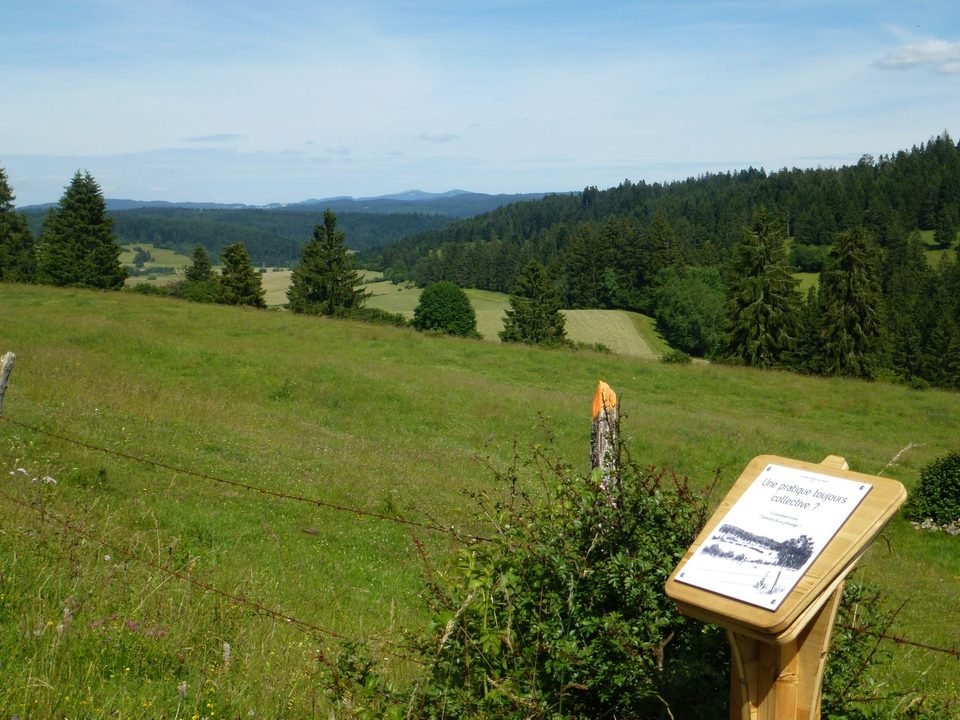 Sentier du berger et des vaches