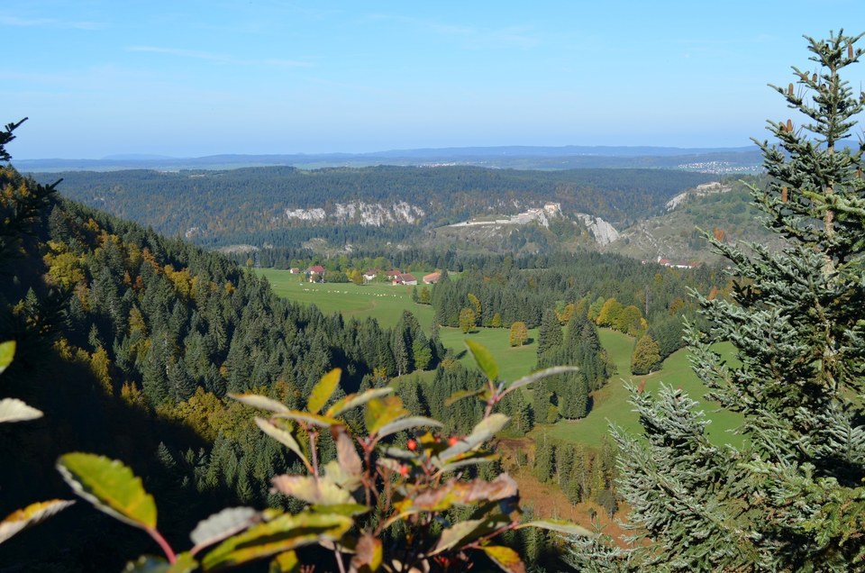 Point de vue La Roche Sarrazine - Vue sur le Château