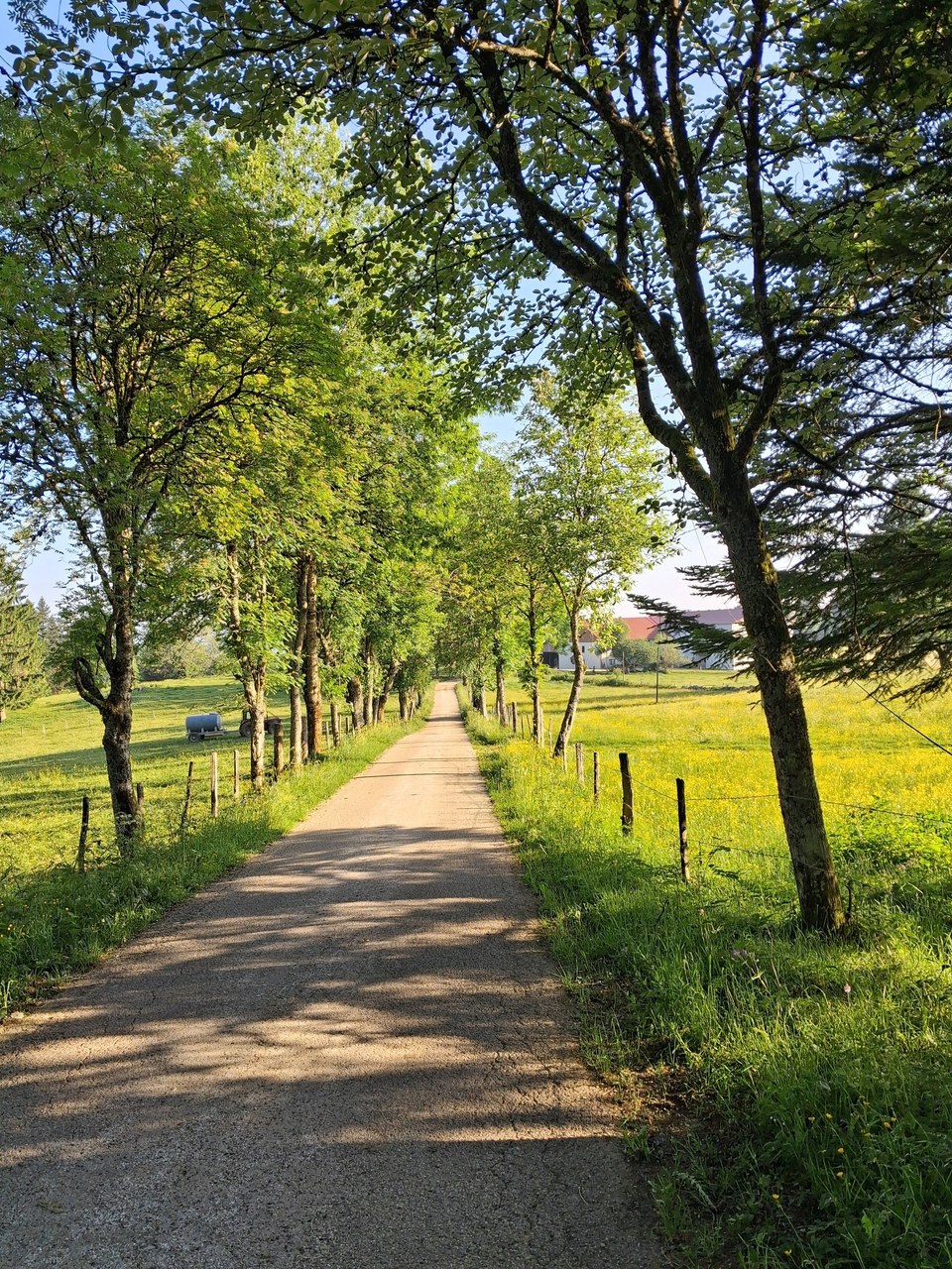 Route communale vers la ferme du Cernier