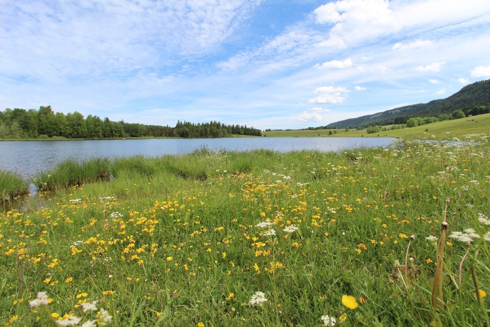 Tour des Lacs VTT - n°94