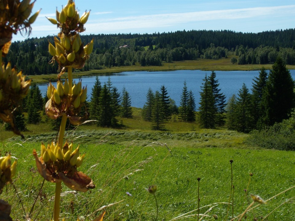 Lac de Bellefontaine