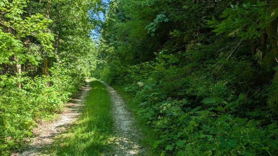 VTT Le Taremberg