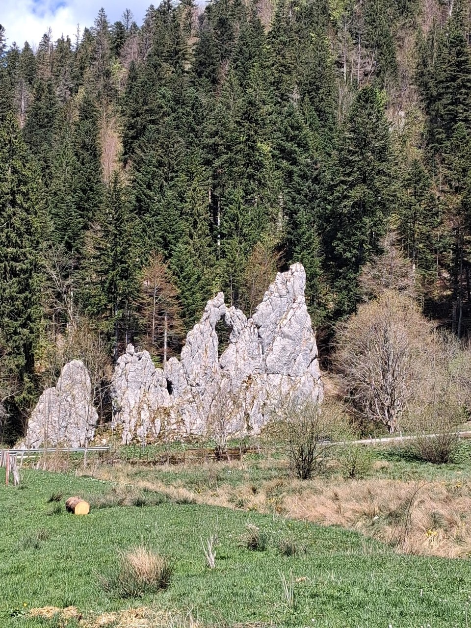Le Franco-Suisse - n° 10