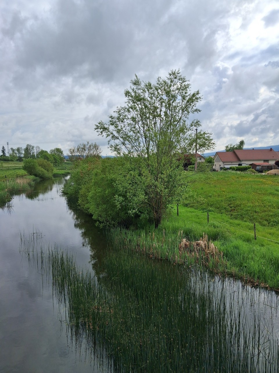La rivière le Drugeon depuis le pont de Dommartin