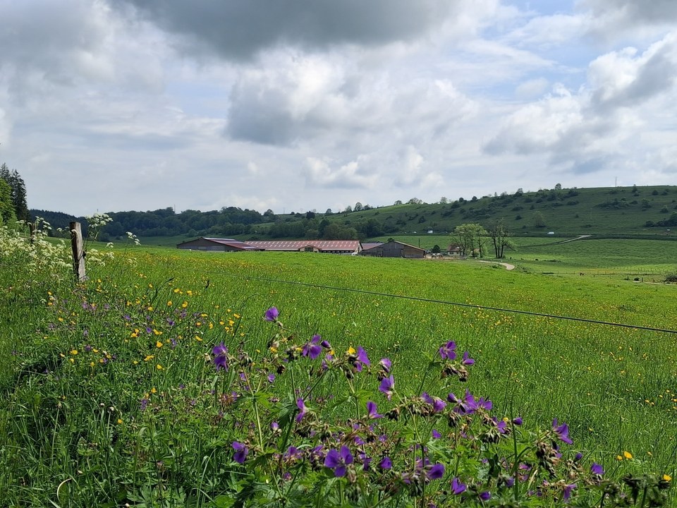 Ferme de Saint-Lazare centre équestre