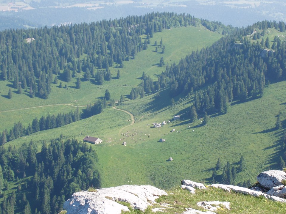 Paysage d'estive au Suchet