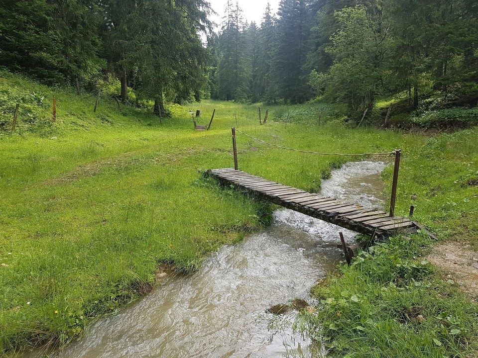 Pont en bois sur le ruisseau au Cernet de Doubs