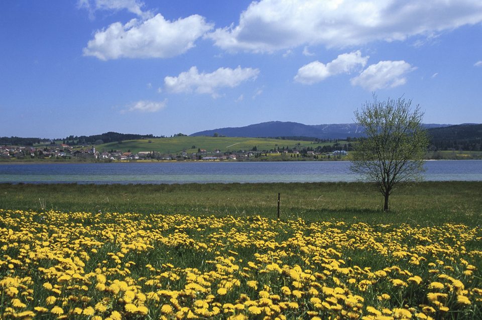Tour du Lac de Saint-Point