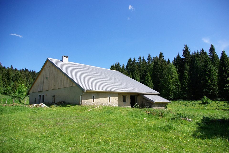 Mont d'Or