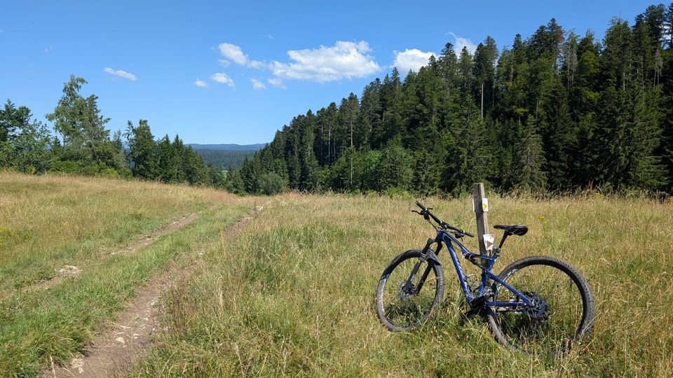 Taremberg (parcours classique) - n° 78