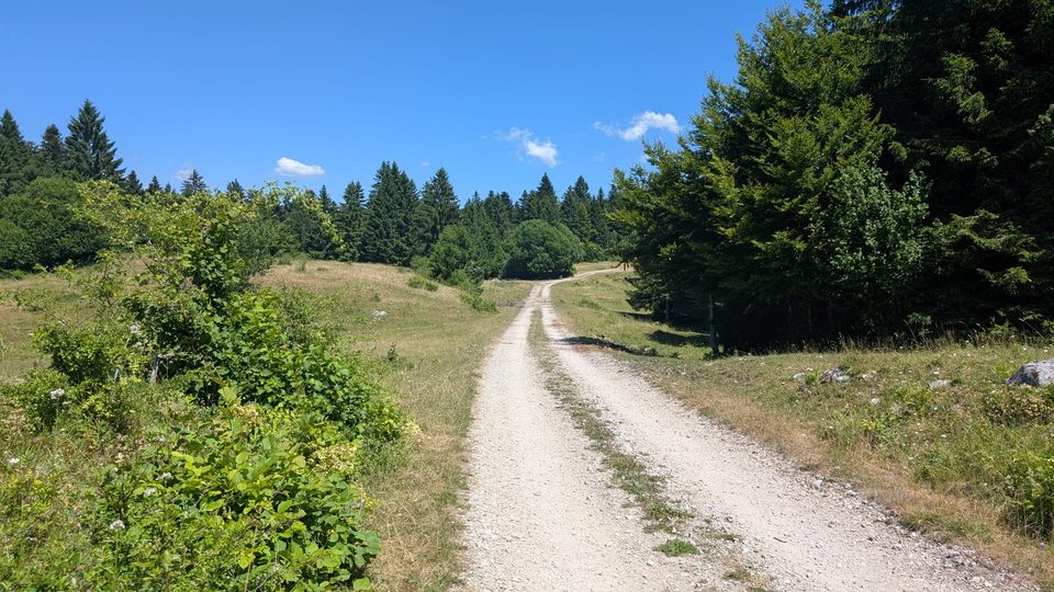 VTT Le Taremberg 5