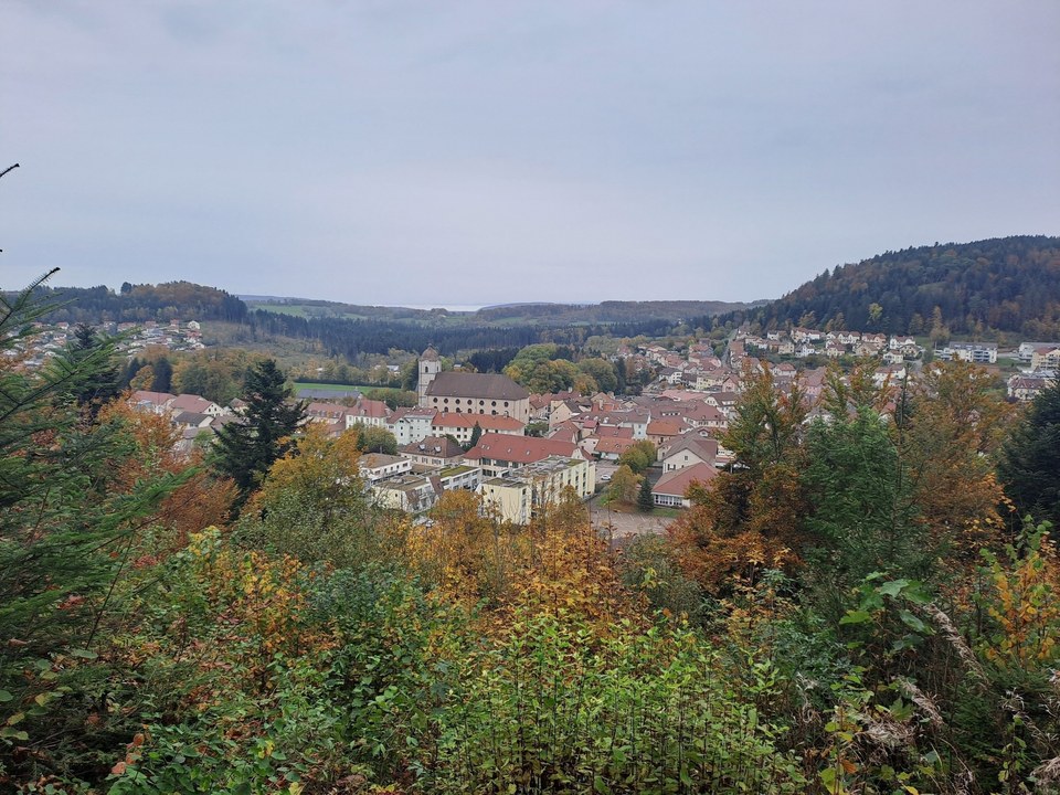Vue de Maîche depuis ND des Anges